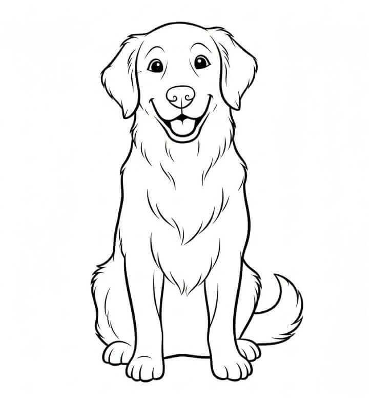 Bedava Golden Retriever Çocuklar İçin Boyama Sayfası