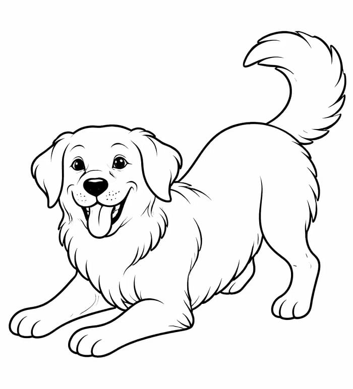 Bedava Golden Retriever Yazdırılabilir Boyama Sayfası