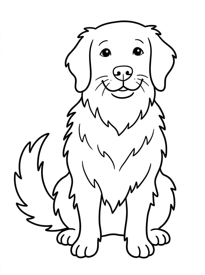 Golden Retriever Boyama Sayfaları