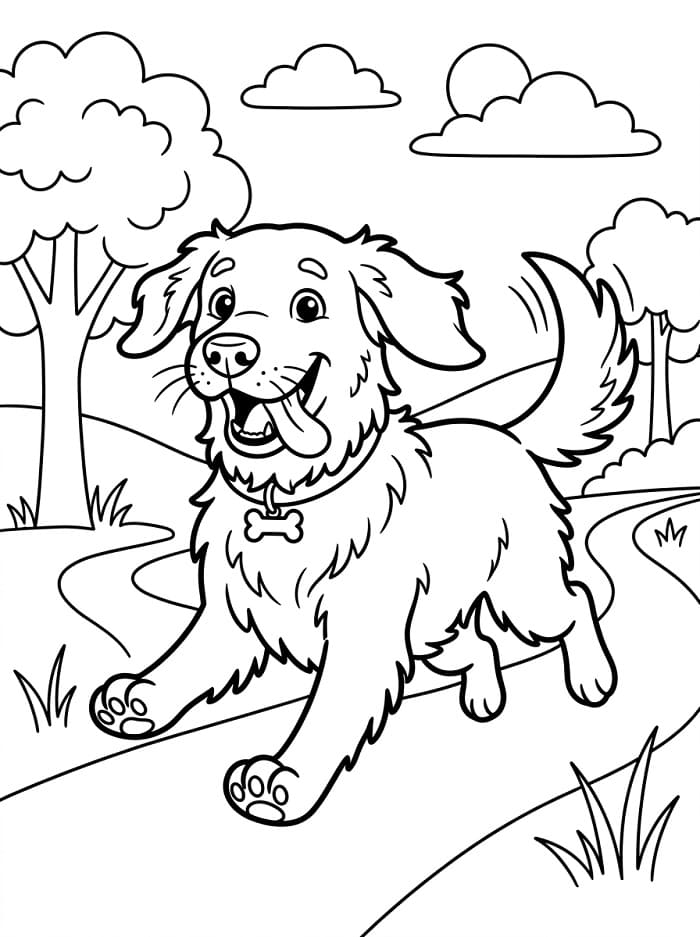 Bir Golden Retriever Köpek Boyama Sayfası