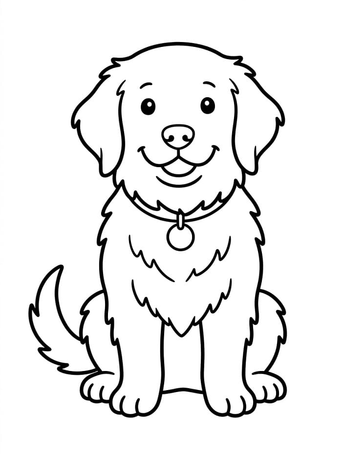 Bir Golden Retriever Boyama Sayfası