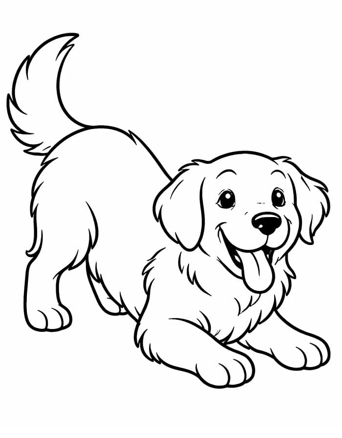 Golden Retriever Bedava Resim Boyama Sayfası