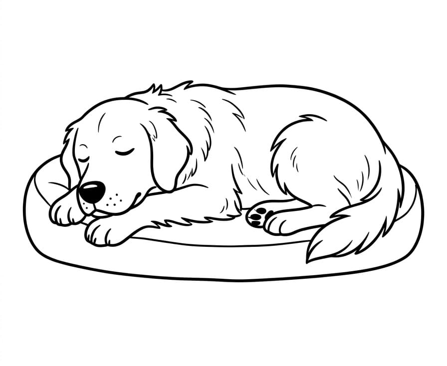 Harika Golden Retriever Boyama Sayfası