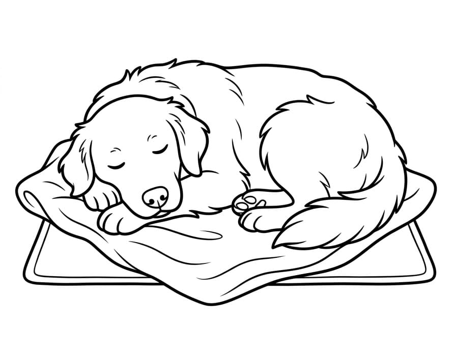 Muhteşem Golden Retriever Boyama Sayfası