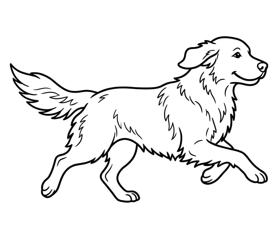 Mutlu Golden Retriever Boyama Sayfası