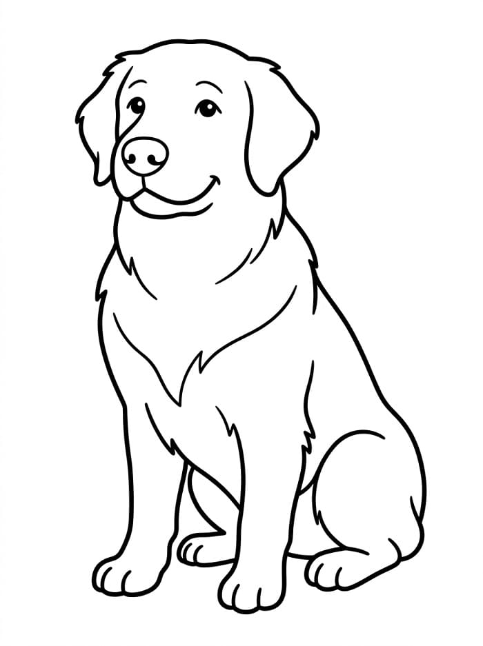 Yazdırılabilir Golden Retriever Boyama Sayfası