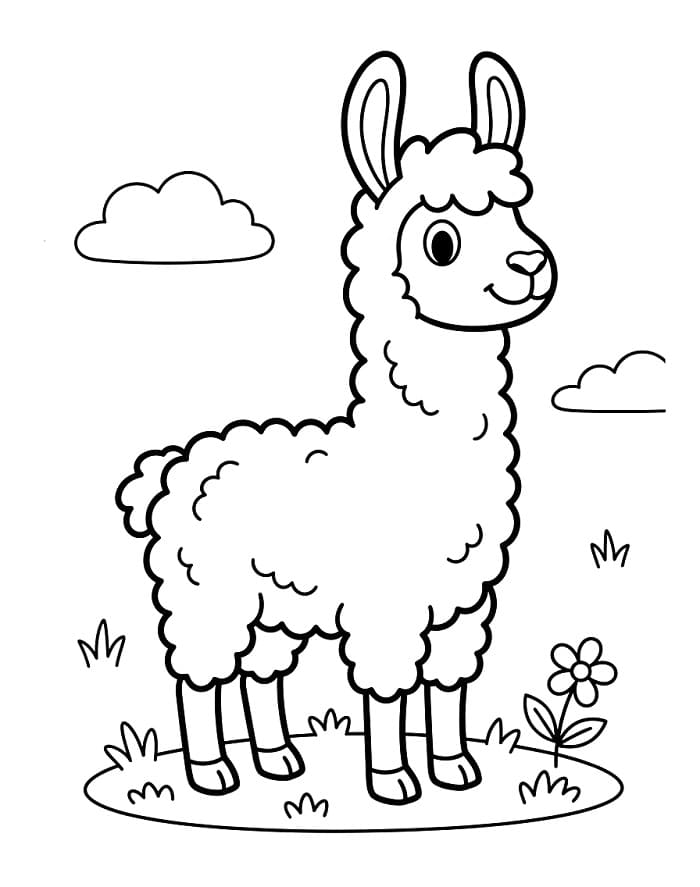 Animasyonlu Lama Boyama Sayfası