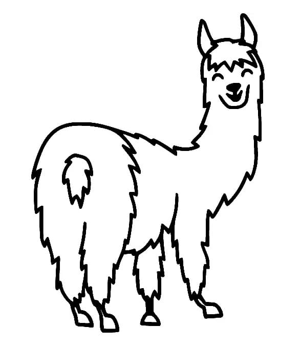 Lama 6 Yaş Çocuklar İçin Boyama Sayfası