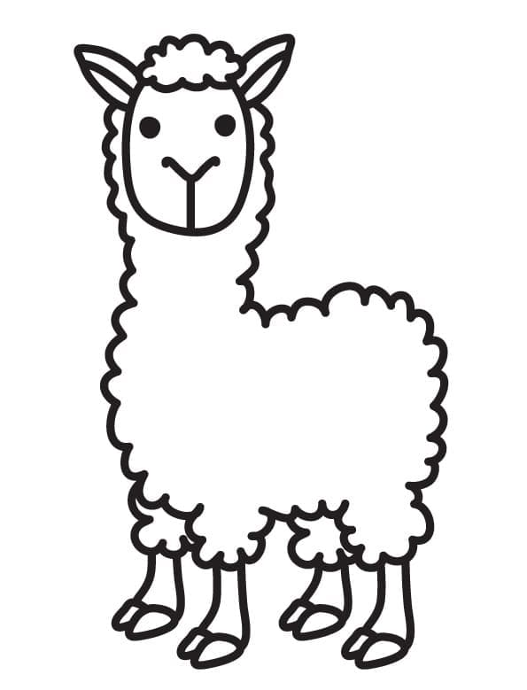Lama Renklendir Boyama Sayfası