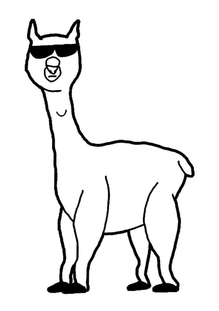 Lama Yazdırılabilir Resim Boyama Sayfası