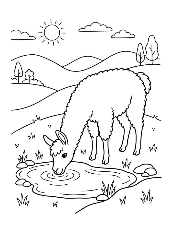 Şirin Lama Boyama Sayfası