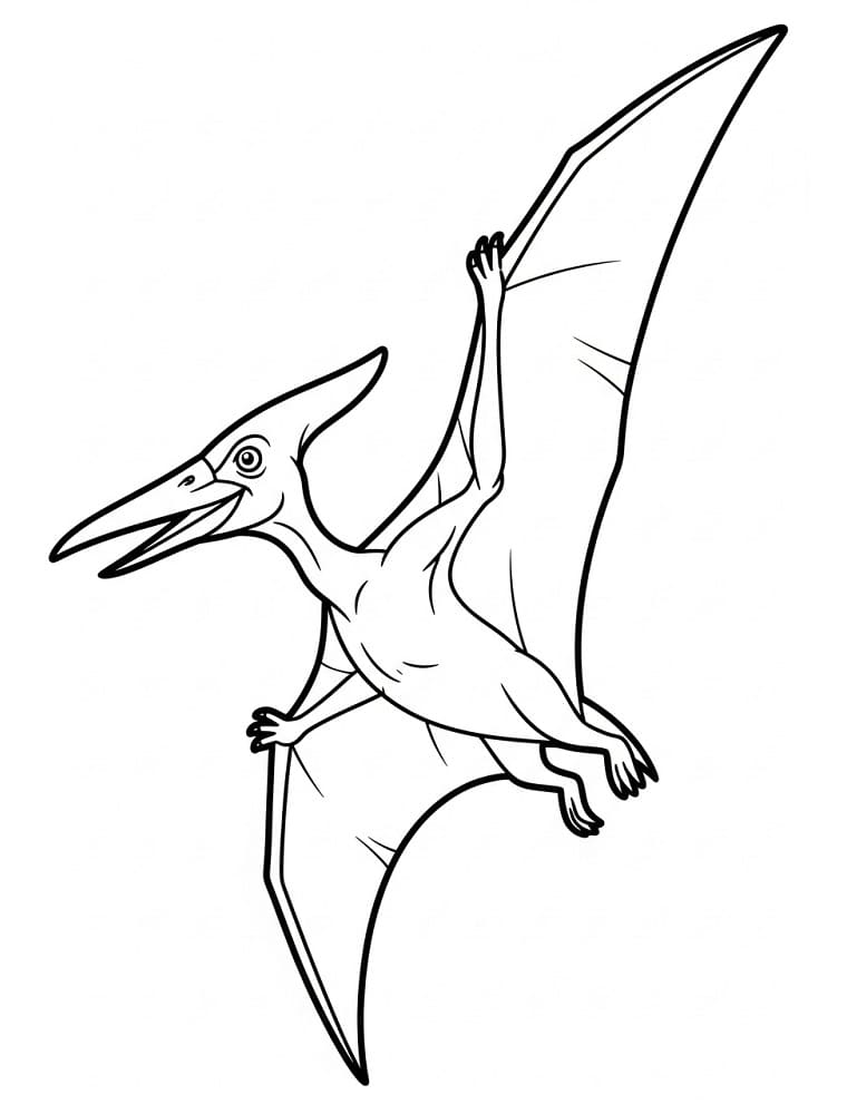 Pterodaktil Boyama Sayfaları