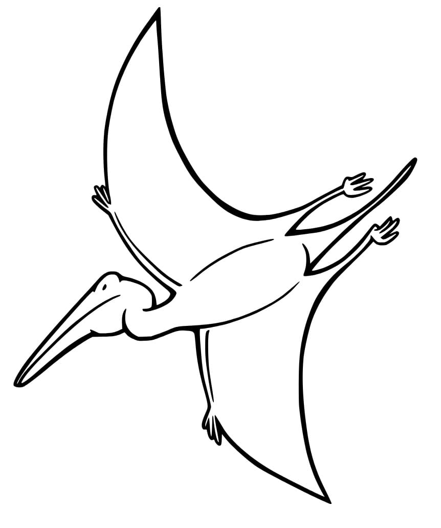 Pterodaktil Görseli Boyama Sayfası