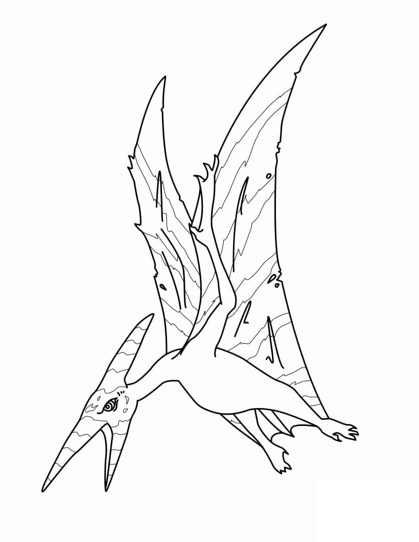 Ücretsiz Pterodaktil Çocuklar İçin Boyama Sayfası