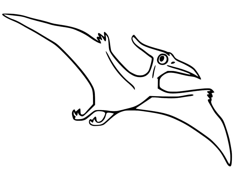Ücretsiz Pterodaktil Boyama Sayfası