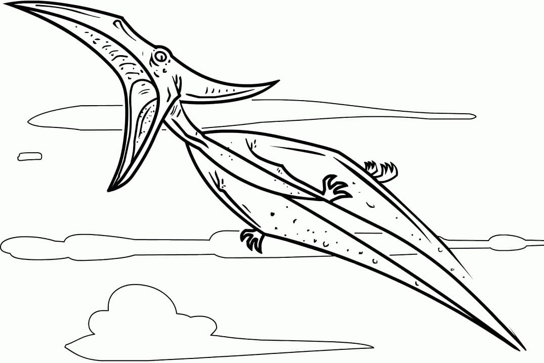 Yazdırılabilir Pterodaktil Görseli Boyama Sayfası