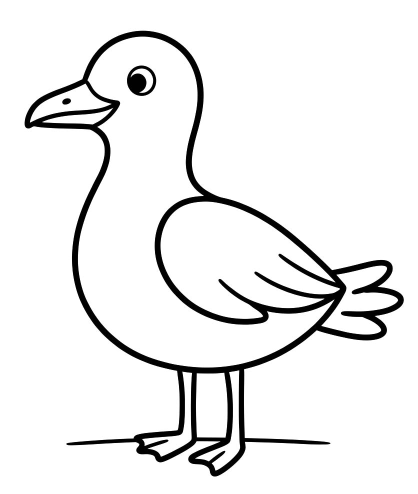 Basit Martı Boyama Sayfası